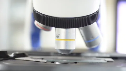 Hand scientis using microscope in laboratory. Stock Footage 105856024