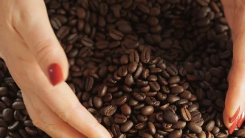 Hand is scooping up coffee beans Stock Footage 300525910