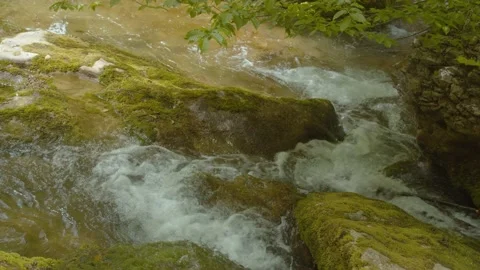 Hand scooping fresh stream water in the forest river or lake, Close up of Stock Footage 158389272