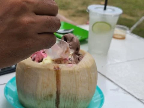 Hand Scooping Refreshing Multi-flavor Ice Cream from a Natural Coconut Shell Foto stock