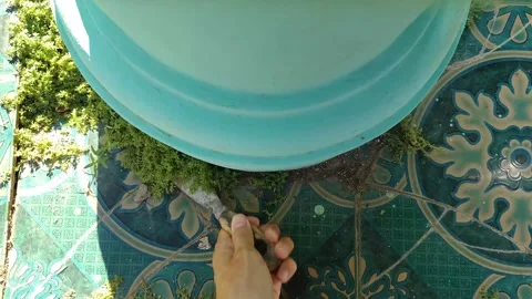 A hand scrapes moss from the floor surface with a scraper Stock Footage 331202091