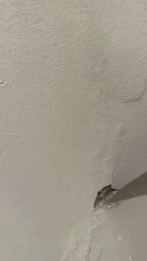 Hand scrapes peeling white paint off a damaged wall Video stock 334593500