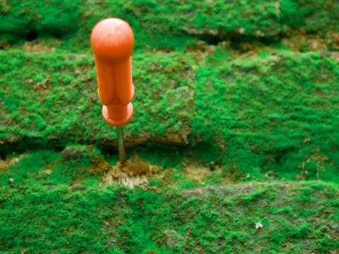Hand Screw driver fixed on green natural brick wall surface for industrial ba 스톡 사진