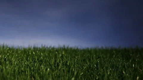 Hand Screwing Energy saving light bulb into Green Grass - Alternative Energy Stock Footage 365768
