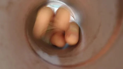 Hand searches container for the last remaining snack Stock Footage 337160702