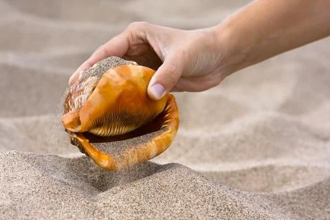 Hand with seashell on the beach Stock Photos