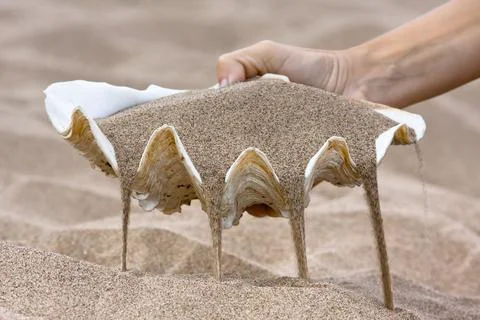 Hand with seashell Stock Photos