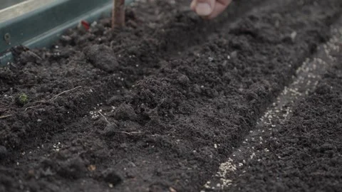 Hand seeding seeds in the garden Stock Footage 280345673
