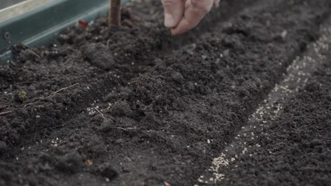 Hand seeding seeds in the garden Stock Footage 280345674