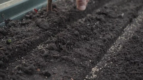 Hand seeding seeds in the garden Stock Footage 280345681