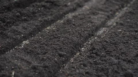 Hand seeding seeds in the garden Stock Footage 280345720