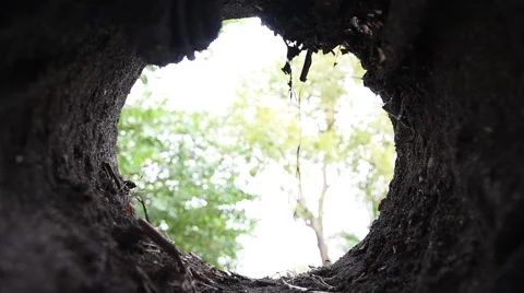 Hand seeking in the hole Stock Footage 59527942