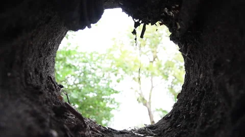 Hand seeking in the hole Stock Footage 60579290