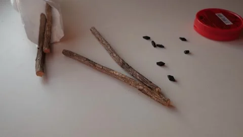 Hand selecting black liquorice candy pieces next to rustic liquorice sticks on Stock Footage 333666731