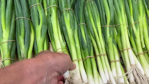 Hand Selecting a Bunch of Fresh Green Onions Video stock 342498179