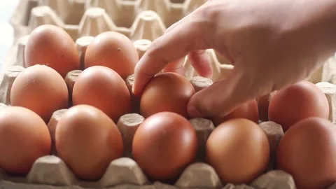 Hand selecting a fresh brown egg from a carton Stock Footage 322633079