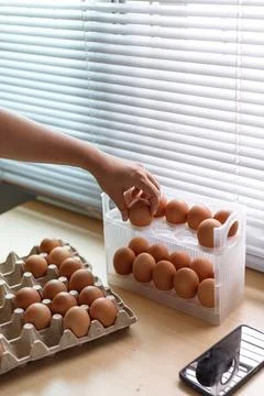 Hand Selecting Fresh Chicken Eggs from Egg Cartons Stock Photos