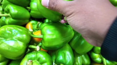 Hand selecting fresh green bell peppers Stock Footage 328904870