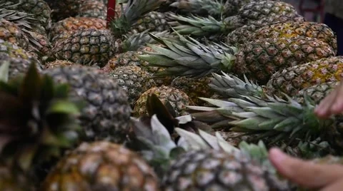 Hand selecting fresh Pineapple in Slow Motion Stock Footage 54931885