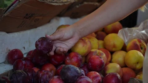 Hand Selecting a Fresh Plum at a Fruit Market 스톡 동영상 342662375