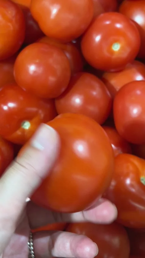 Hand selecting fresh red tomatoes at the market Vídeo Stock 338005476