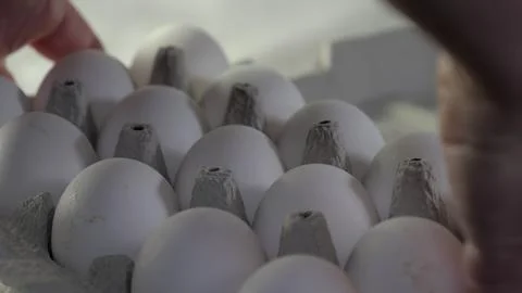 Hand selecting fresh white eggs from carton with soft lighting Stock Photos