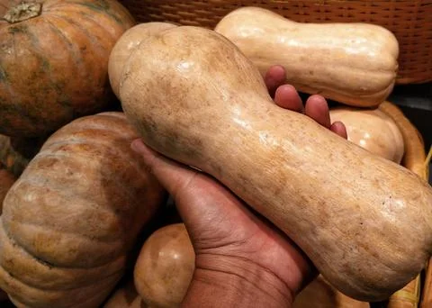 A hand selecting pumpkin Foto stock