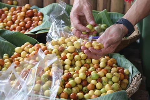 A hand is selection Monkey Apples in basket. Foto stock