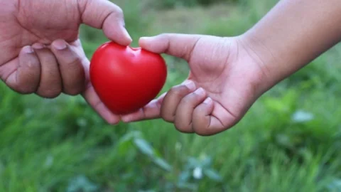Hand sent red heart on hand to hand Stock Footage 99868271