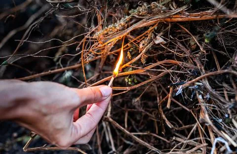 Hand setting fire to dry grass and branches with a lighted match Stock Photos