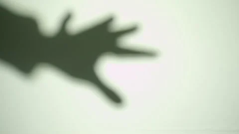 Hand Shadow Stock Footage 234213682