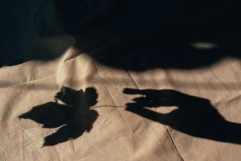 Hand shadow leaf 스톡 사진