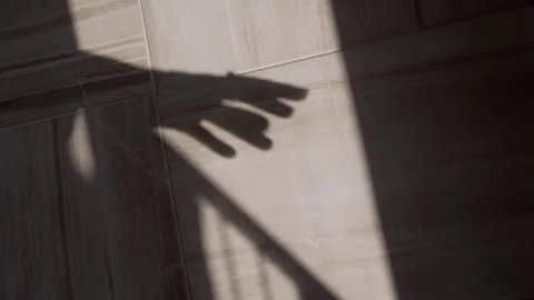 Hand Shadow Play on Tiled Floor Stock Footage 317562437