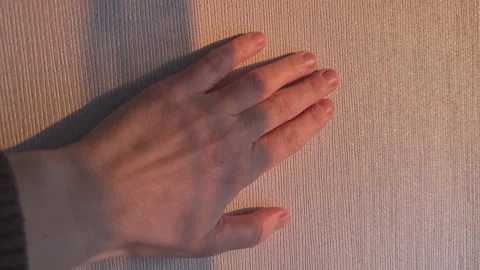 Hand Shadow On Wall Stock-Footage 336320731