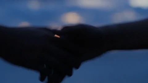 Hand Shake At Sunset Stock Footage 83168416