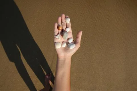 Hand with Shells Stock Photos