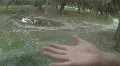 Hand The Shower Of Water HD Footage