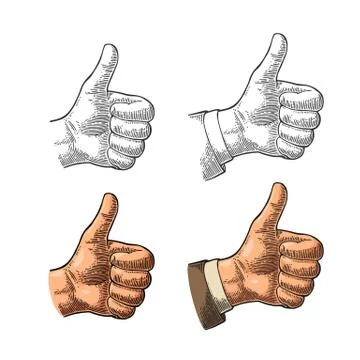 Hand showing symbol Like. Making thumb up gesture. Stock-Illustration
