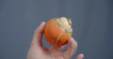 The hand shows a decorative pumpkin in the form of a mushroom. Stockbeeldmateriaal 169493224