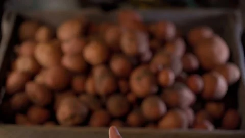 The hand shows a thumbs up against the background of a box of potatoes. Man Stock Footage 237218649