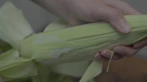 Hand shucking corn close up Stock Footage 276438435