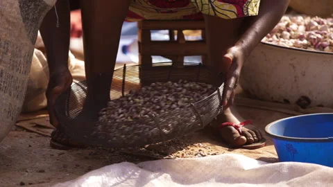 Hand sifted onion grains Stock Footage 258579831