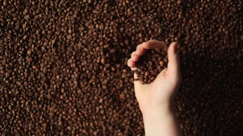 Hand sifting through roasted coffee beans, close-up, slow motion, rich brown Stock Footage 338441440