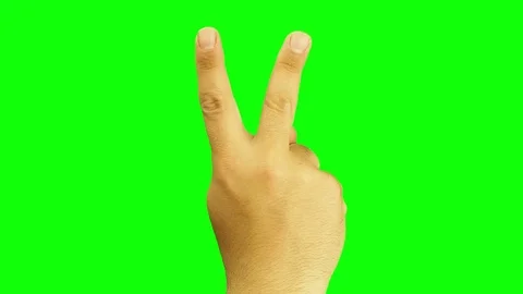 Hand sign victory or two or scissor gesture isolated green screen Stock Footage 73645501