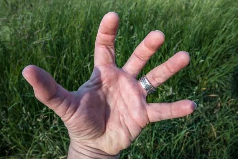 A hand with silver ring before the meadow 库存照片