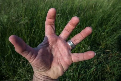 A hand with silver ring before the meadow Stockfoto's