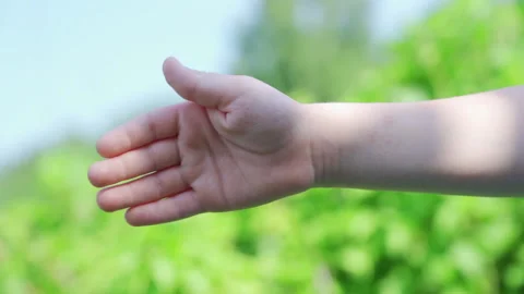 The hand of a six-year-old against the green leaves in the park Stock Footage 202644113