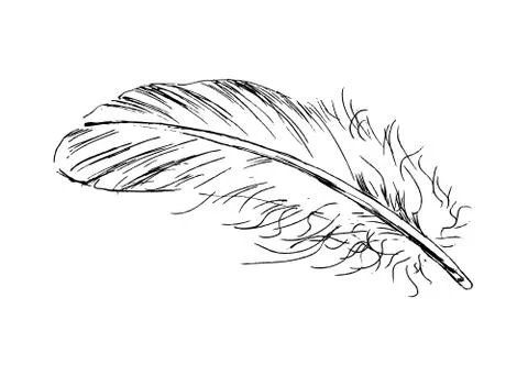 Hand sketch feather Stock Illustration