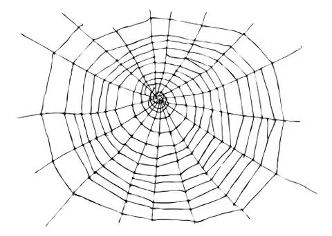 Hand sketch spider web Stock Illustration