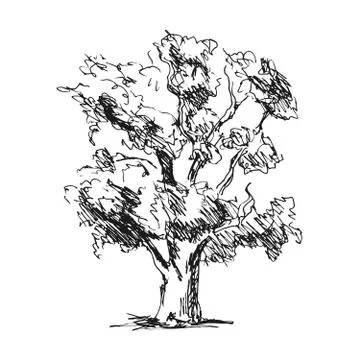 Hand sketch tree Stock Illustration